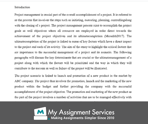 management essay example