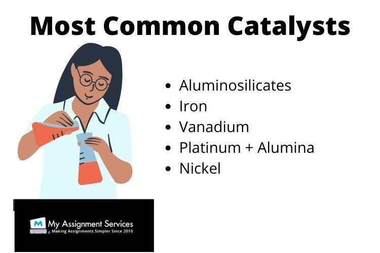 Examples of Catalyst in Human Body 