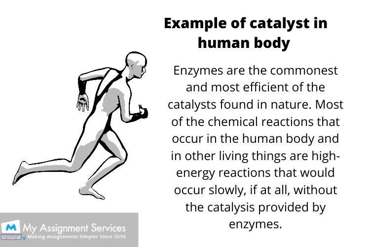 Catalytic Processes assignment Sample