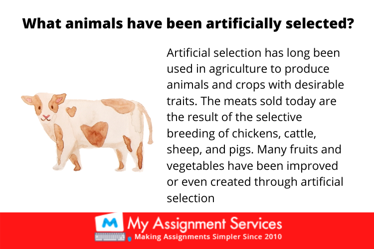 Selective Breeding in Animals and Plants 