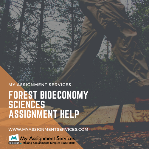 Forest Bioeconomy assignment help