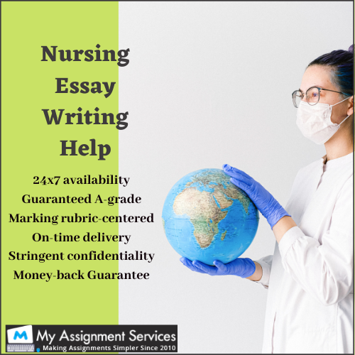 nursing essay writing service
