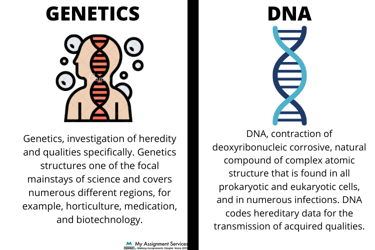 Concept of DNA