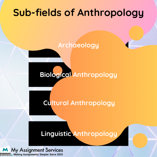 Anthropology Essay Writing Service