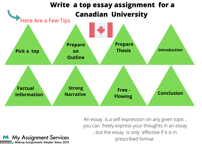 Assignment Help in Canada