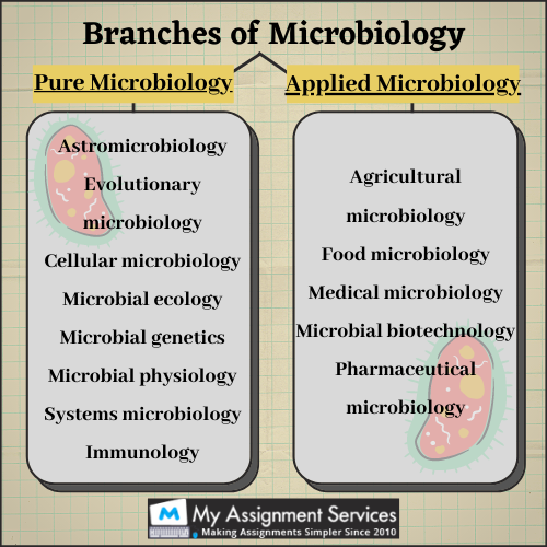 microbiology homework help