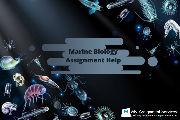 Marine Biology Assignment Help