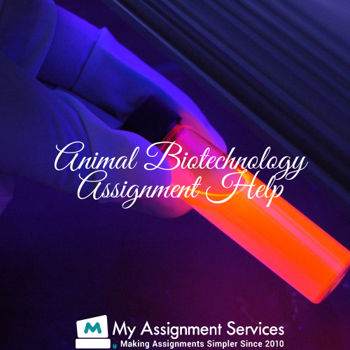 Animal Biotechnology Assignment Help