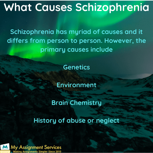 Schizophrenia Causes