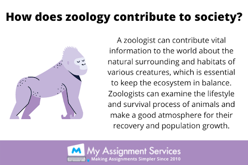 zoology's contribution to society