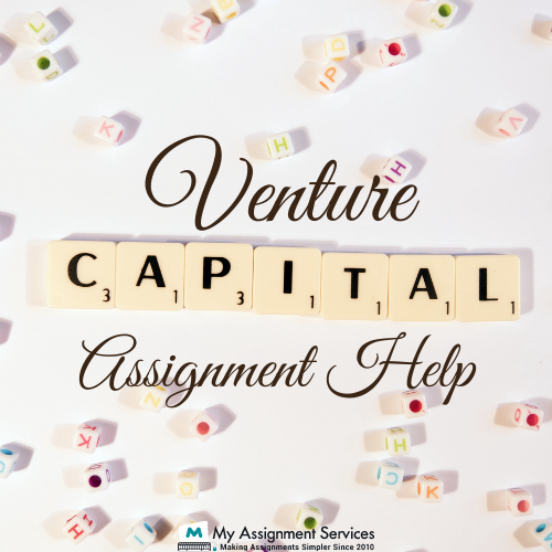 Venture Capital Assignment Help