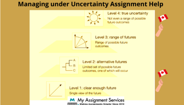 Managing under Uncertainty Assignment help