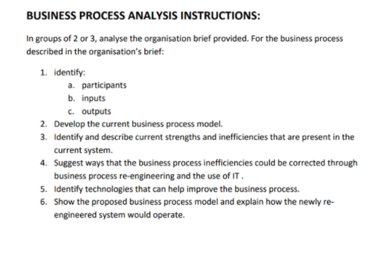 Business Process Analysis Instructions