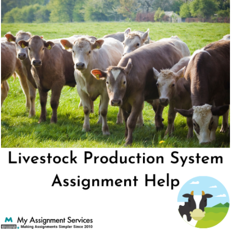Livestock Production System Assignment Help experts