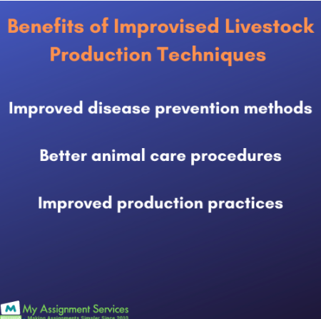 Benefits of Improvised Livestock Production Techniques