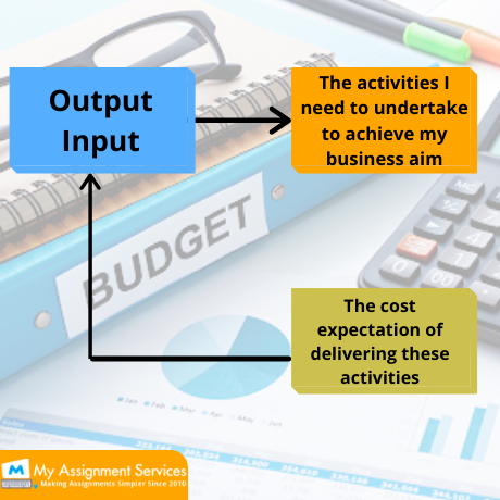 Budgetary Accounting  Output input
