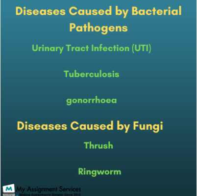 Diseases Caused by Bacterial Pathogens