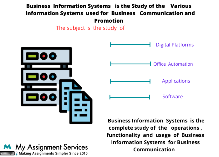 Business Information System Assignment Help