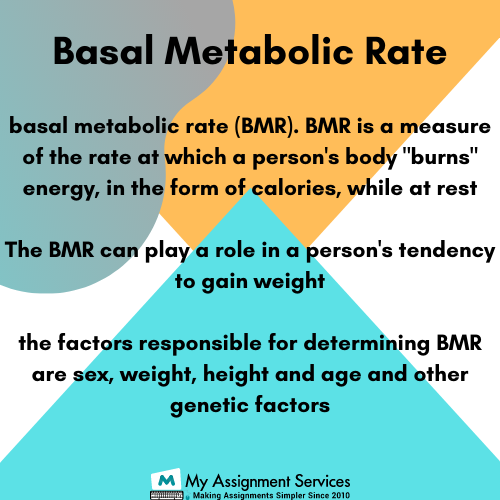 Metabolism Rate