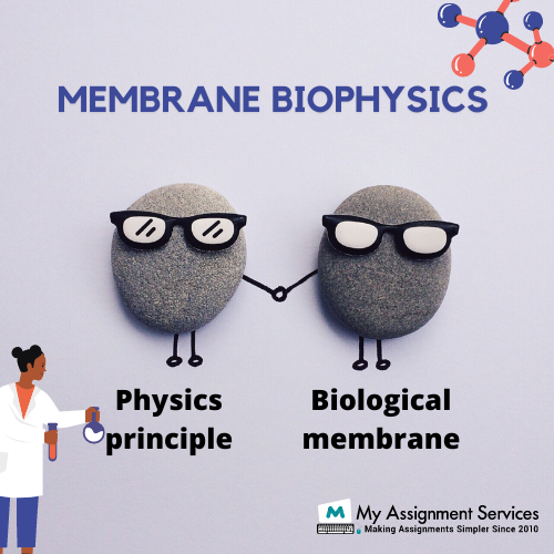 membrane biophysics