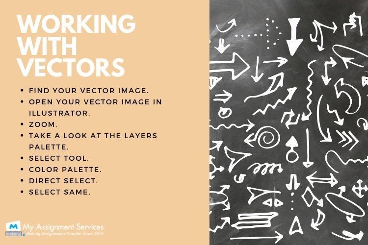 vector design assignment help