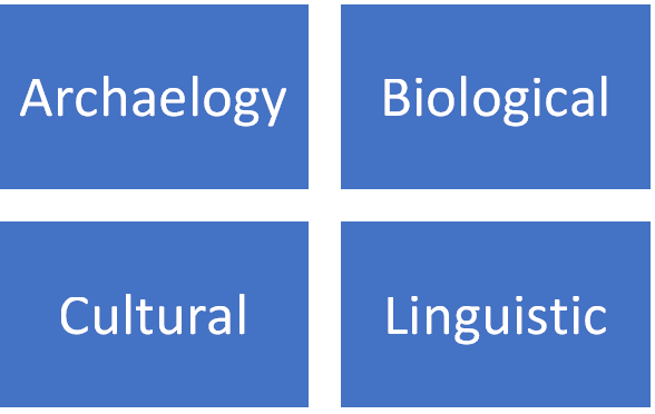 Branches of Anthropology